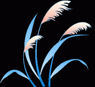 一想到轮番告假陪护