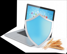 元从体参取的社会监视收集